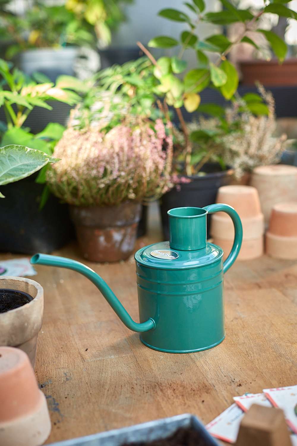 Indendørs vandkande - Sage Green 1 L